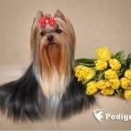 KRISTLY ODILE O'MALLEY